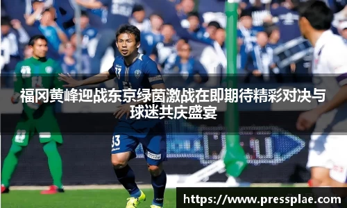 VWIN德赢AC米兰官方合作伙伴